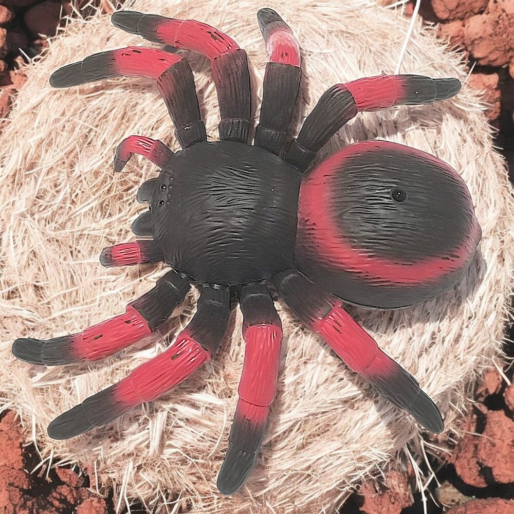 Halloween Remote Control Tarantula Toy  Red light Up Eyes & Legs Terra By Battat - Picture 2 of 9